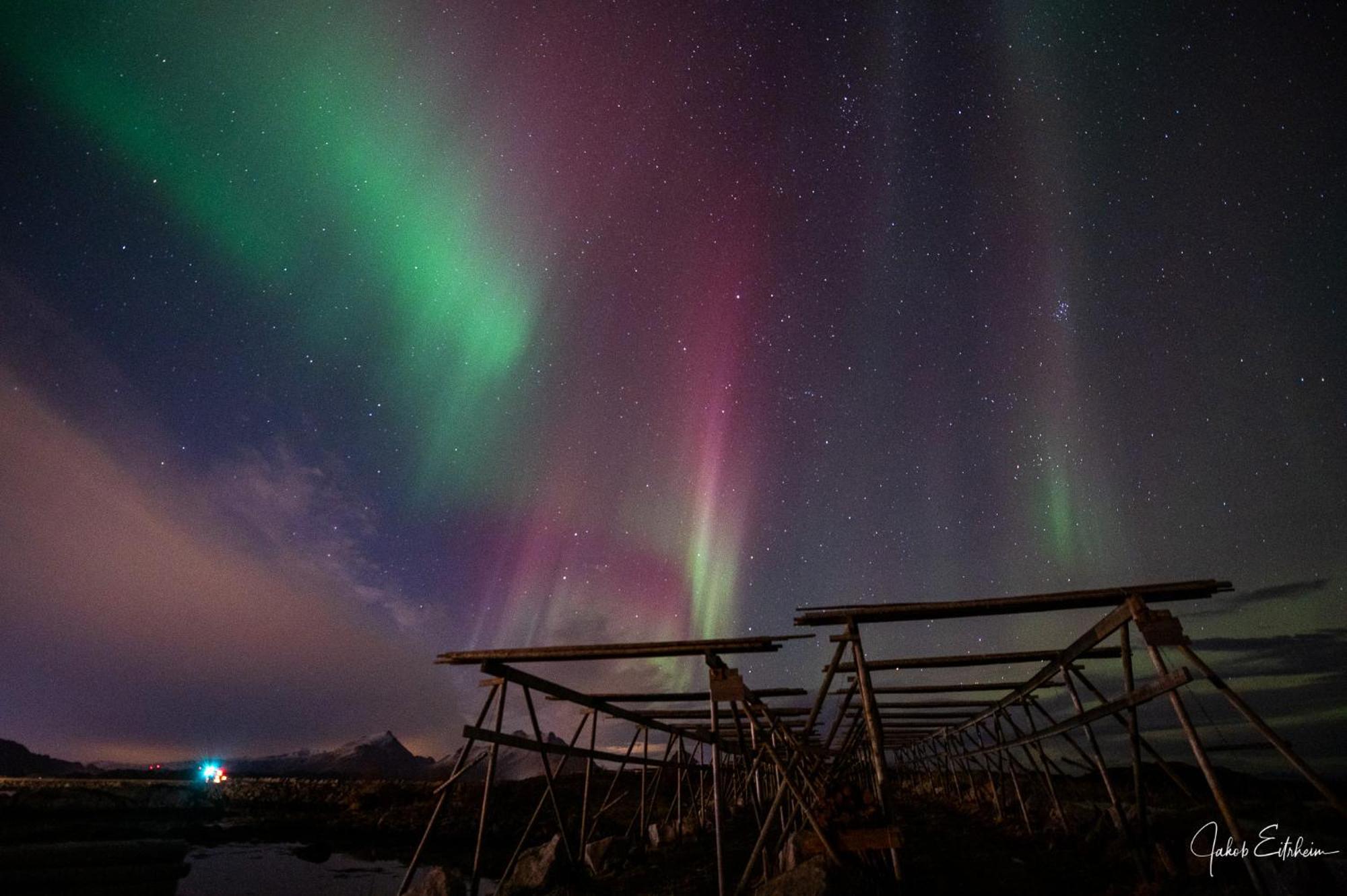 Fish Factory -The Real Lofoten Experience Баллстад Экстерьер фото